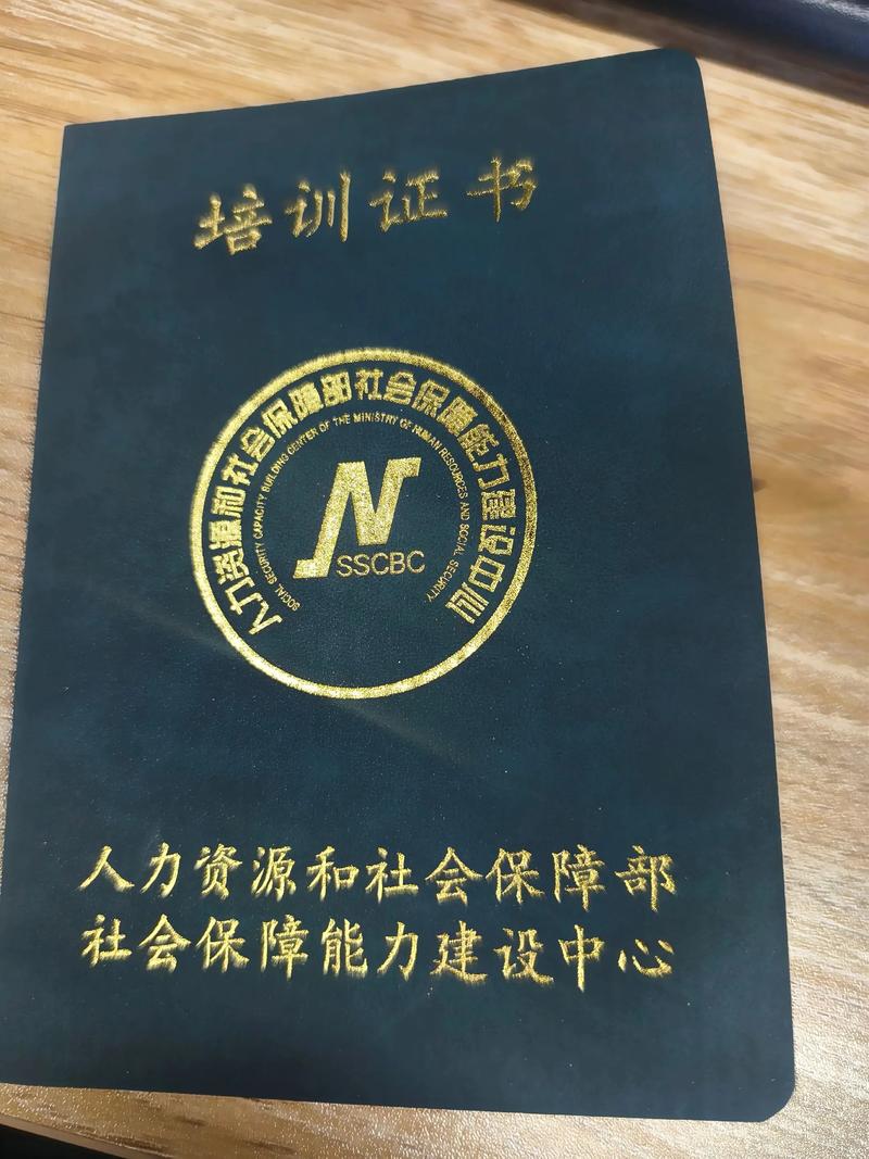 体质调理：如何找回身体的平衡与健康